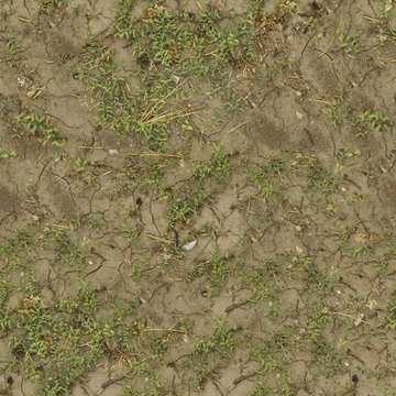 A seamless soil Texture for Backgrounds and Materials