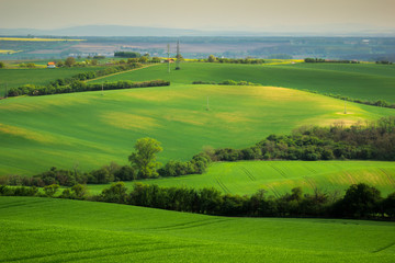 Fototapeta na wymiar Moravian fields at spring near Strazovice, Czech Republic
