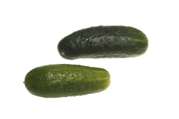 cucumber isolated on white background