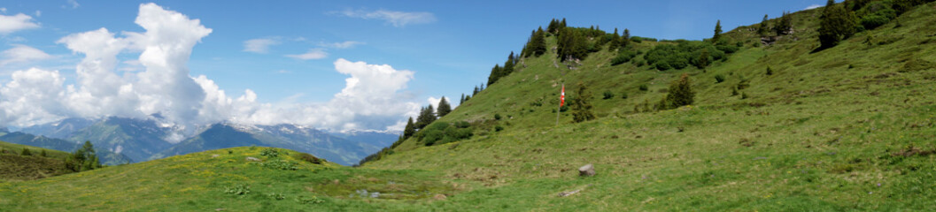 Panorama auf einer Schweizer Alp