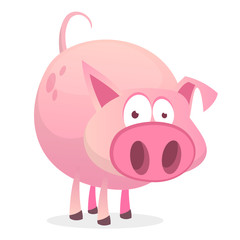 Vector illustration of cute pig cartoon isolated on white background. Design forstickers, print or children book