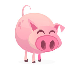 Vector illustration of cute pig cartoon isolated on white background
