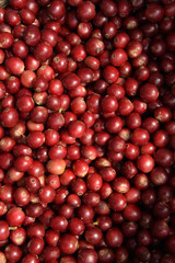  fresh coffee beans for background