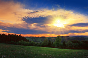 Fototapeta na wymiar Spring sunset over the green field.