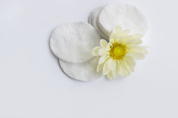 Fototapeta na wymiar Fresh skin care concept: cotton pads and chamomile on a light background with text area, close-up