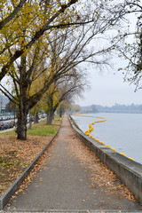 Coimbra oto&ntilde;al