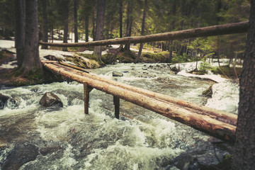 Fototapeta na wymiar a bridge of logs across a mountain river
