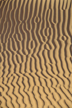 Sultanate of Oman, Dhofar, Rub Al Khali desert, details of tracts in the ochre sand