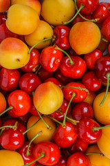 Lots of ripe fresh apricots and cherries for the background.