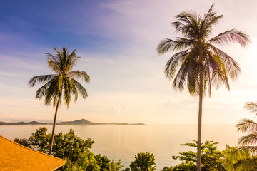 Fototapeta na wymiar Beautiful tropical sea ocean with coconut palm tree in paradise island