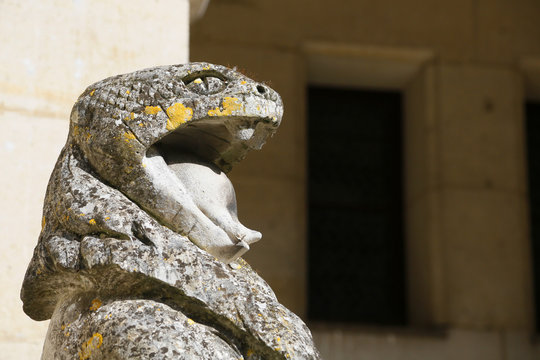 Oise. Pierrefonds. The castle of Pierrefonds. Courtyard. Close up of a gargoyle (cobra).