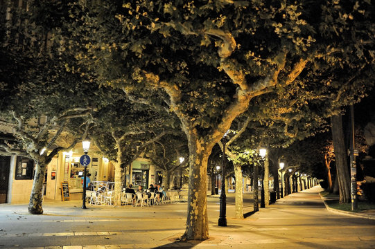 North-West Spain, Burgos, plane trees in Paseo de Espalon, historical center listed by UNESCO as World Heritage Site, Way of St James