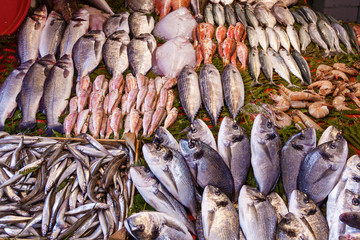 Fish Market in Istanbul