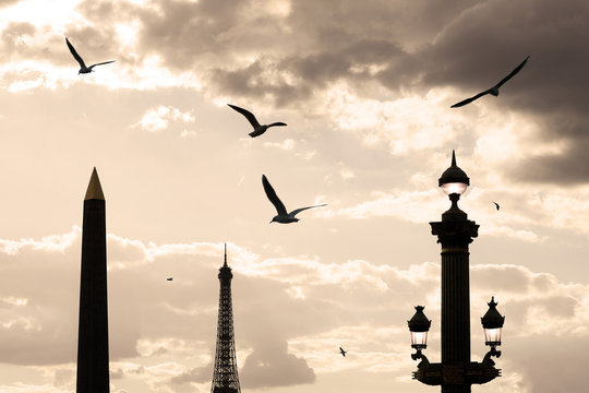 Paris, 8th district, Place de la Concorde, Obelisk, Eiffel Tower, candelabra and pigeons at sunset.