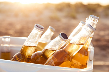 Close up of beer bottles cooling in a fridge