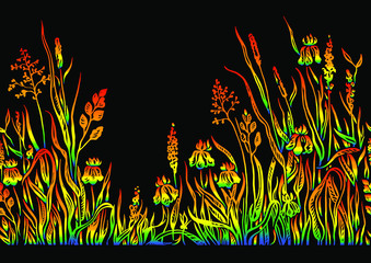 Grass and wild flowers on a black background 
