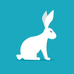 White rabbit vector
