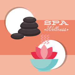 stone massage aromatherapy treatment therapy care skin spa wellness vector illustration