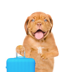 Happy puppy with suitcase. isolated on white background