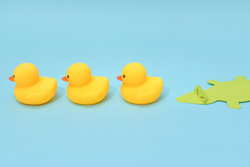 Challenge concept, rubber ducks are chasing by crocodile.