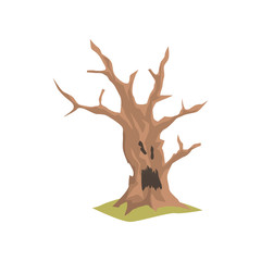 Old dry tree with scary face. Natural element for forest or park landscape. Colored flat vector design