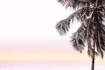 Fototapeta premium summer sky on the beach