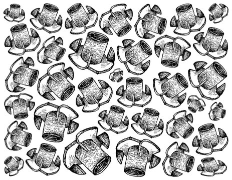 Hand Drawn Sketch of Tee Nuts Background