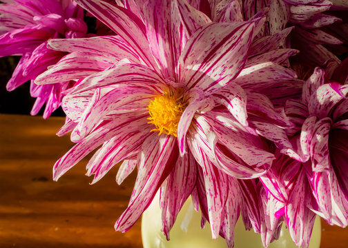 Close up of a red and white cactus dahlia in a buquet of cut flowers.
