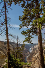 Grand Canyon of Yellowstone