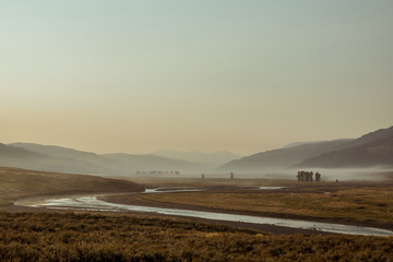 Lamar Valley in Yellowstone