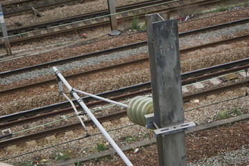 SONY DSC