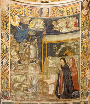 PARMA, ITALY - APRIL 16, 2018: The fresco of Adoration of sheepherds in Baptistery from 14 - 15. cent.