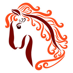 beautiful young horse with curly mane and long eyelashes