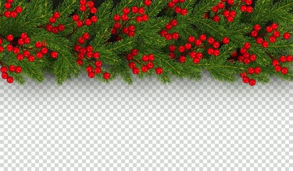 Christmas and New Year border of realistic branches of Christmas tree and holly berries - 209209529