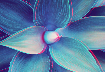 Abstract close up of Agave plant with glitched out effect floral turquoise pattern, neon light digital signal
