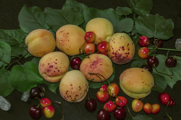 Cherries of different varieties with large apricots on branches with green leaves lie on black plywood


