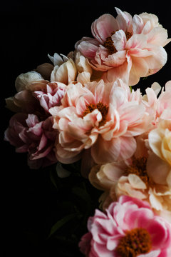 Fototapeta Bouquet of peonies.