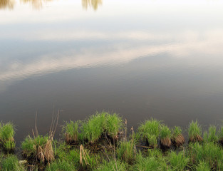 Pond shore with islets overgrown with grass and sky with clouds reflected on the water surface