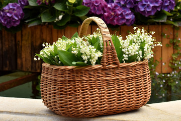 Fototapeta na wymiar Lily of the valley flowers in the basket.