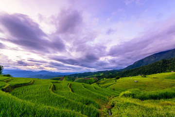 Beautiful step of rice terrace paddle field in sunset at Chiangmai, Thailand. Chiangmai is beautiful in nature place in Thailand, Southeast Asia. Travel concept.