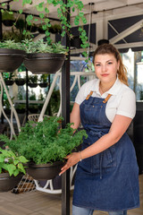 girl apron attractive young cafe greenhouse flowers design interior lot many pots different plants portrait green people florists work garden leaves foliage part time