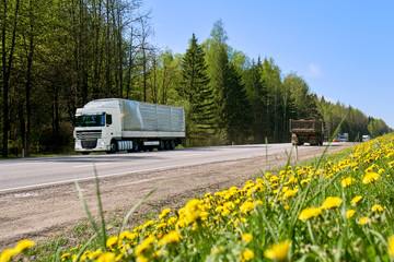 Long truck driving along a road with yellow dandelians growing at roadside