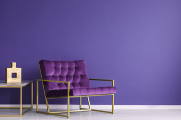 Elegant purple living room interior