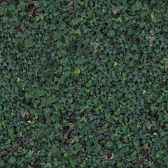A Seamless Texture for natural backgrounds and materials