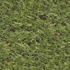 A Seamless Texture for natural backgrounds and materials