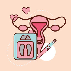 pregnancy fertilization female reproductive heart pen weight vector illustration