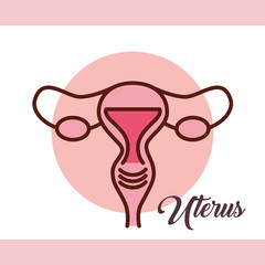 pregnancy fertilization uterus female reproductive vector illustration