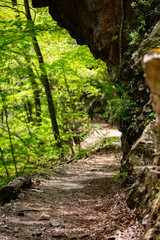 切通しの山道　奥秩父の林道　日本の林道
