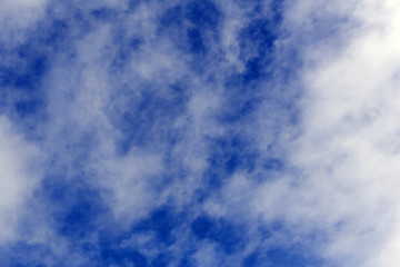 Obraz premium background - blue sky with tattered white clouds photographed from a close distance..