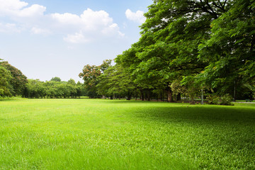 Fototapeta na wymiar Scenic view of the park with green grass field in city and a cloudy blue sky background